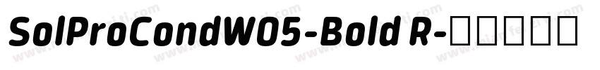 SolProCondW05-Bold R字体转换